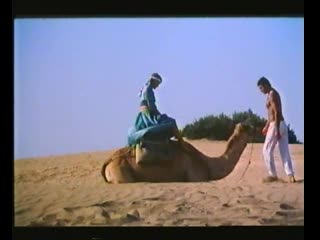 desert lovers 1985
