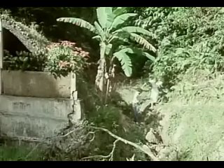 tropical desires - desirs sous les tropiques [1979]